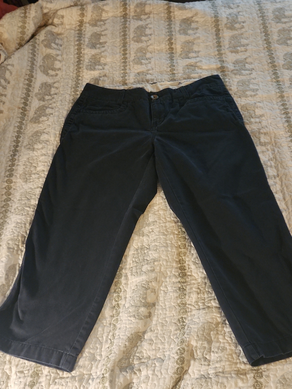 Eddie Bauer Navy Women's Capri Pants